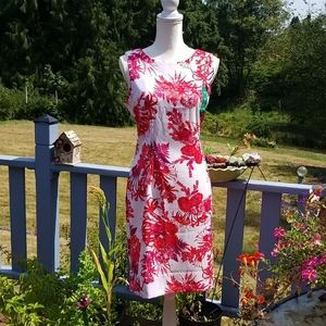 MARIO SERRANI Sleeveles Shift NWOT Sz 12